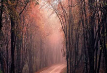 虎扑体育-关于葡超今晨再迎强敌；菲尼克斯太阳外线爆发；主帅态度——底气十足；纪律约束更严格的信息