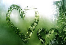 HUPU-TheShy赛事官方发布出色防守新规，DWG争议不断！的简单介绍